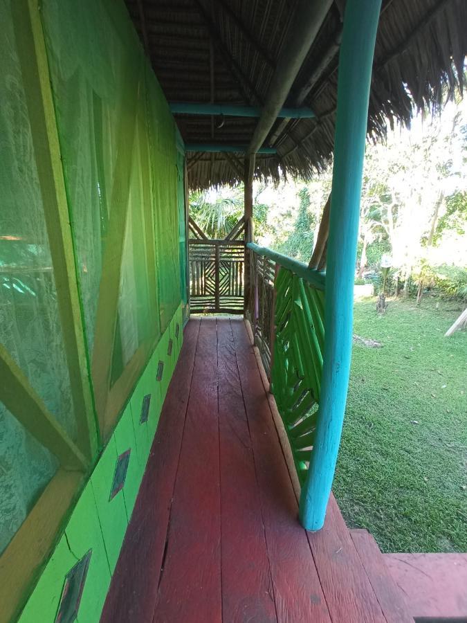 Hostal Buho Amazonas Tours レティシア エクステリア 写真