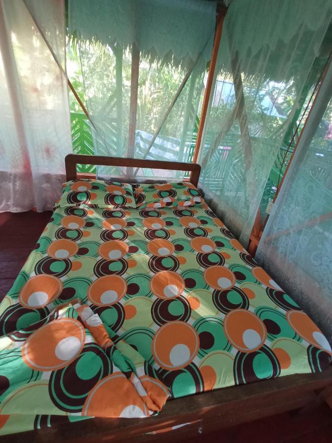 Hostal Buho Amazonas Tours レティシア エクステリア 写真