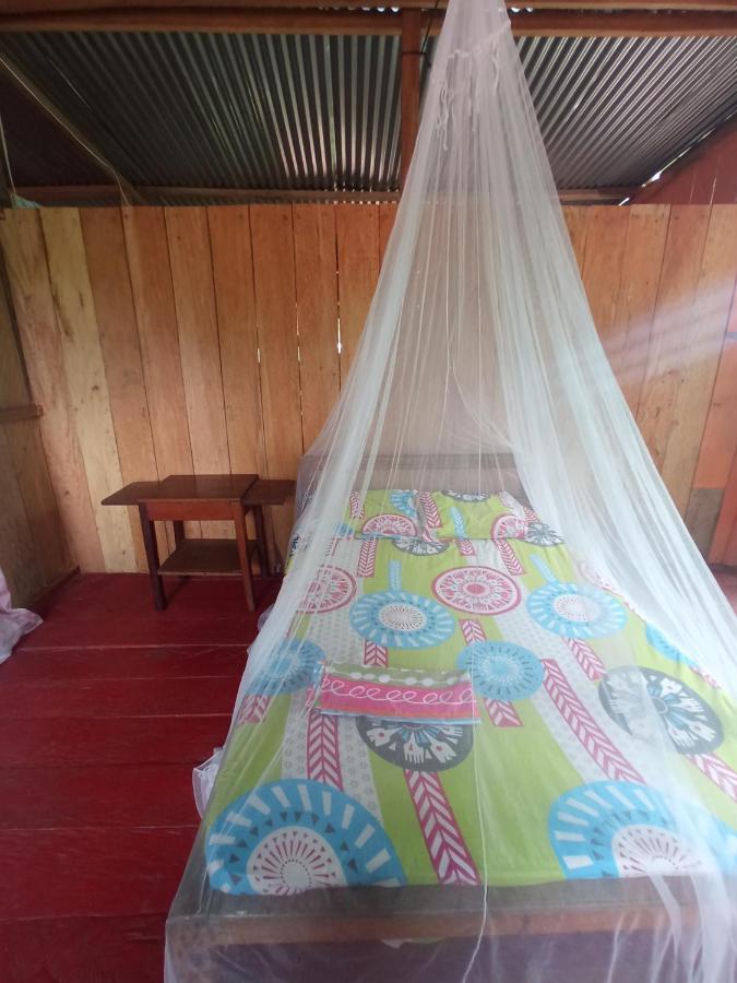 Hostal Buho Amazonas Tours レティシア エクステリア 写真