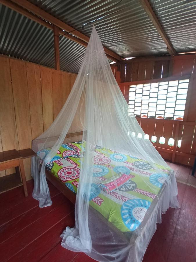 Hostal Buho Amazonas Tours レティシア エクステリア 写真