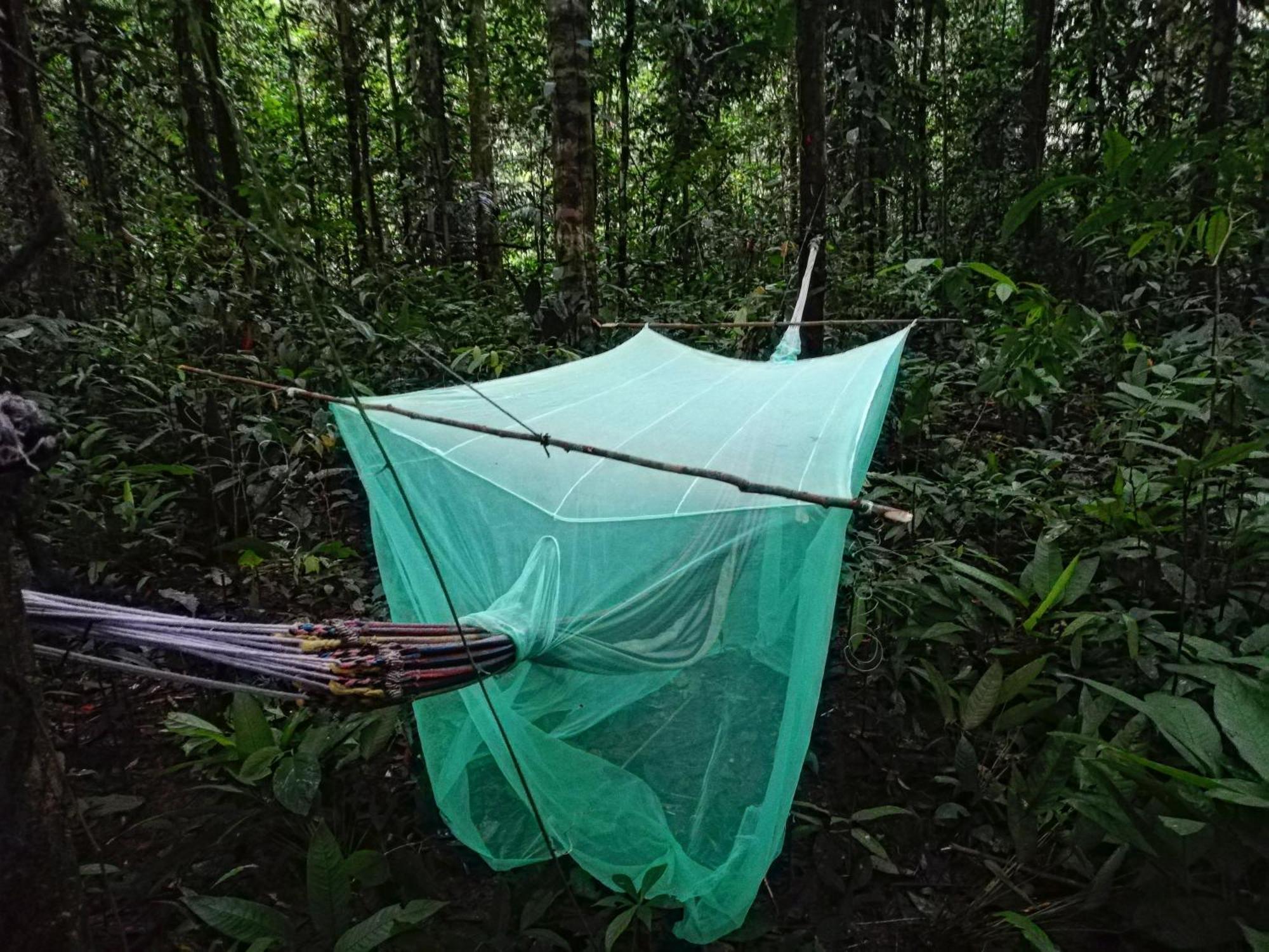 Hostal Buho Amazonas Tours レティシア エクステリア 写真