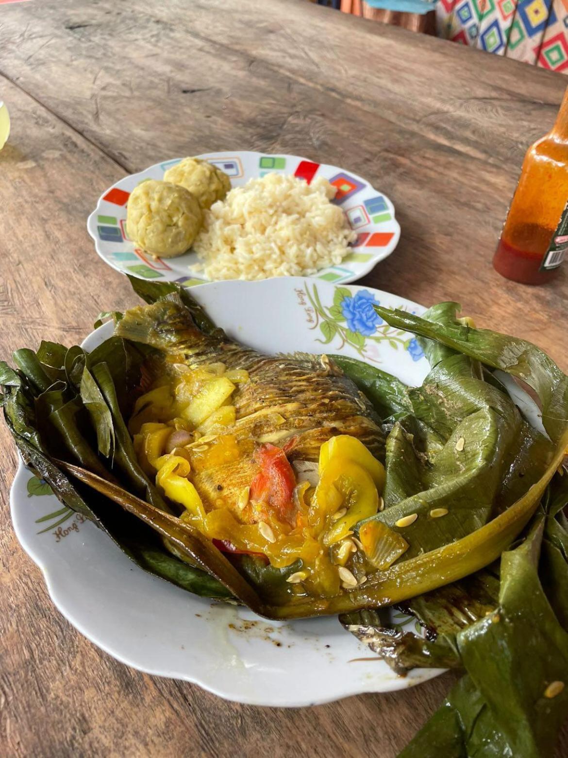 Hostal Buho Amazonas Tours レティシア エクステリア 写真
