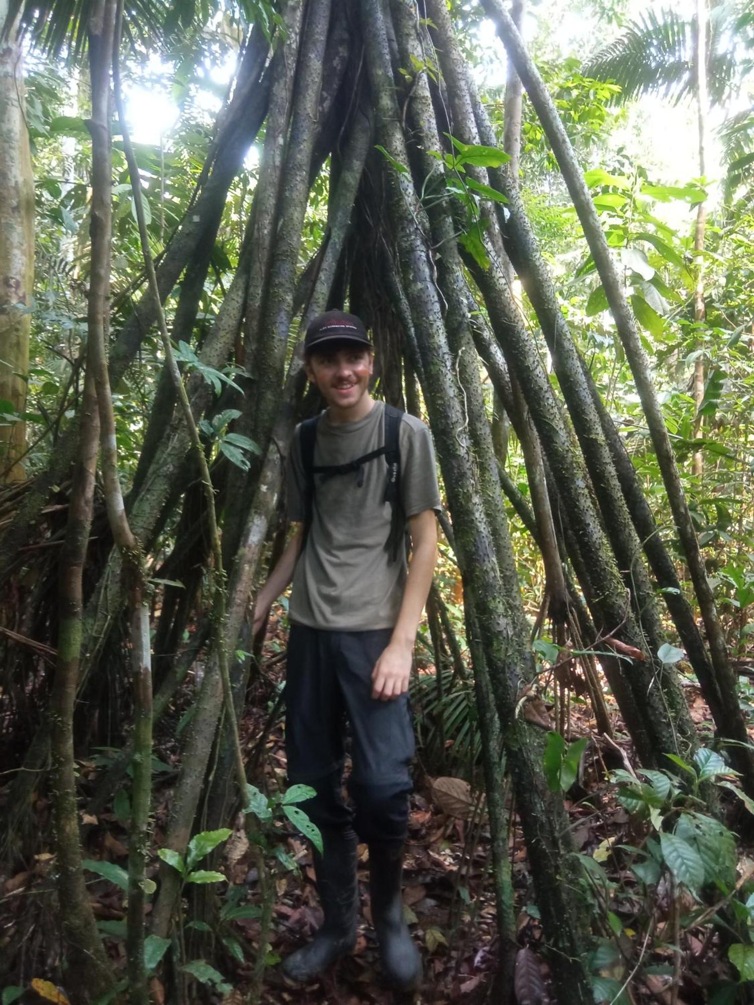 Hostal Buho Amazonas Tours レティシア エクステリア 写真