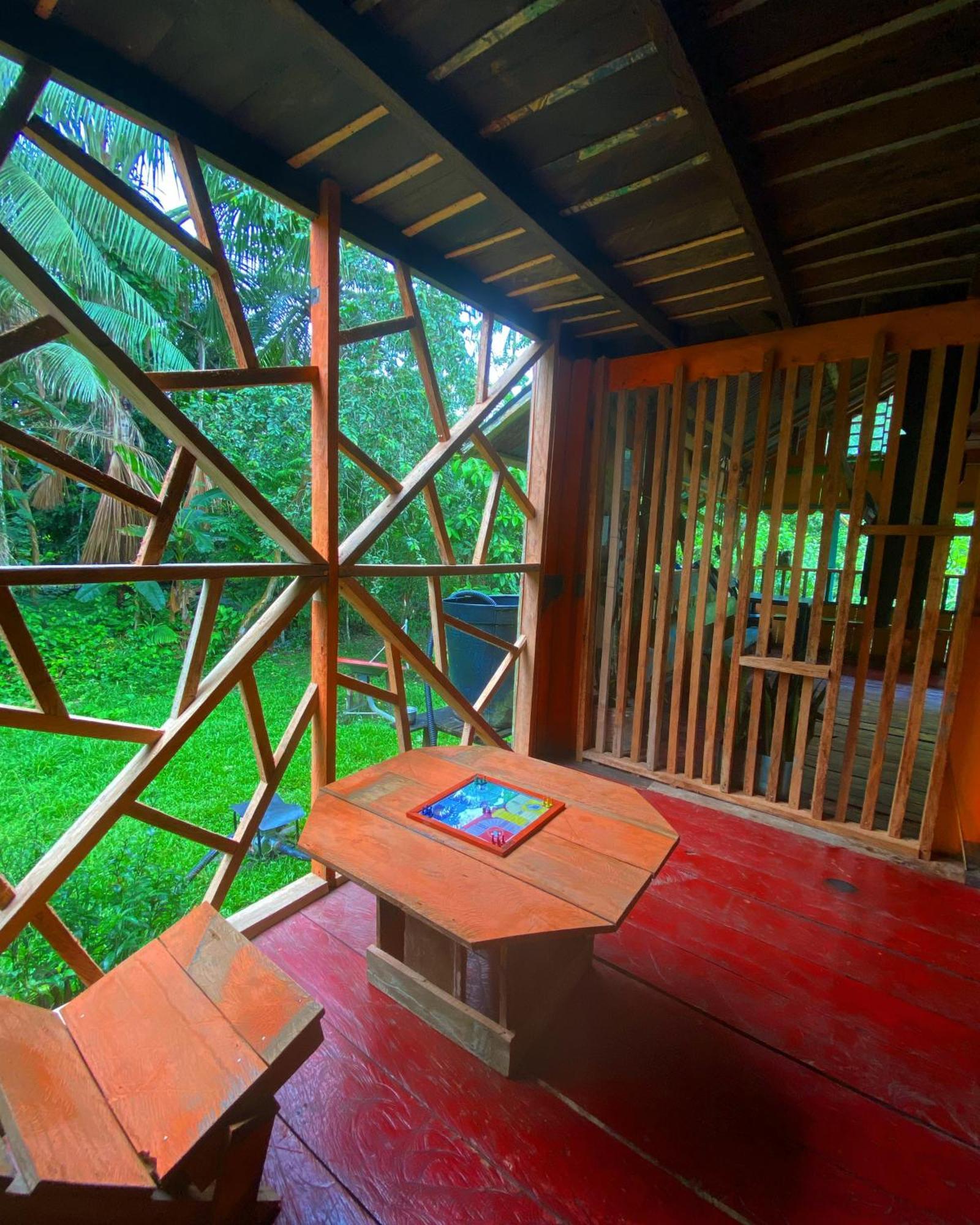 Hostal Buho Amazonas Tours レティシア エクステリア 写真