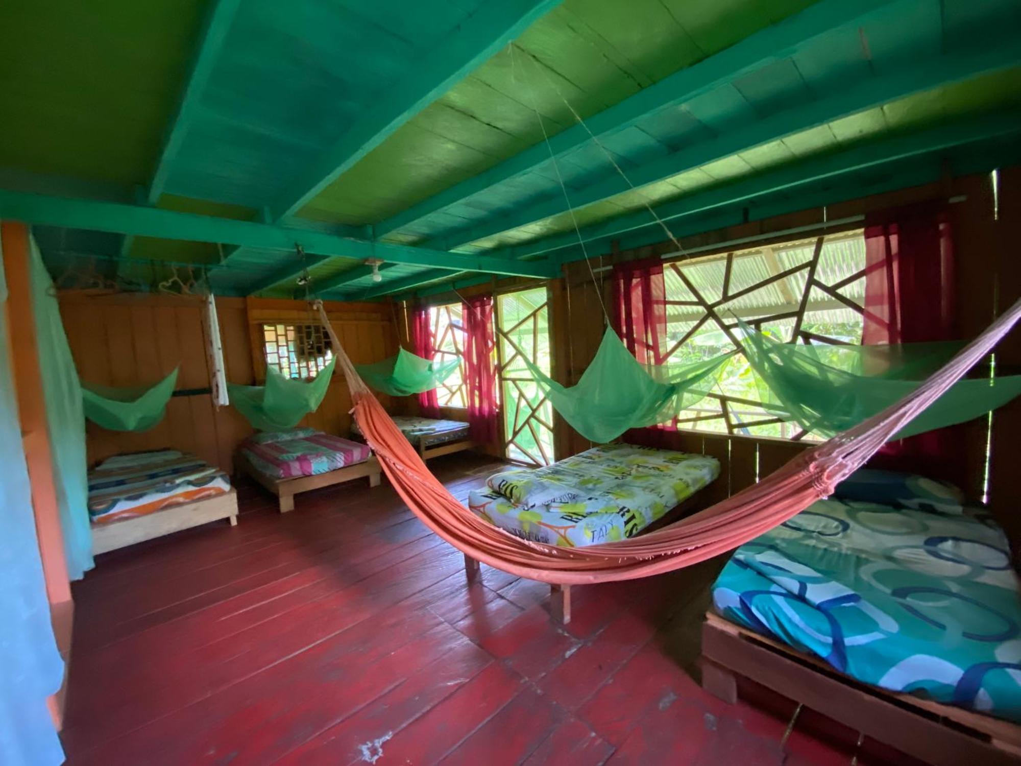 Hostal Buho Amazonas Tours レティシア エクステリア 写真