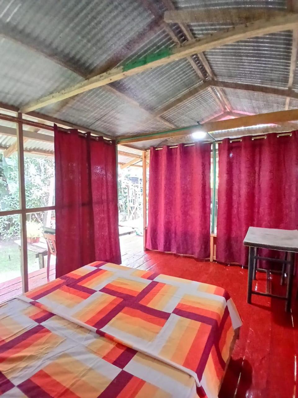 Hostal Buho Amazonas Tours レティシア エクステリア 写真